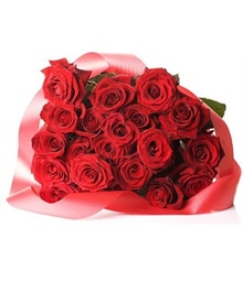 20 Red Roses