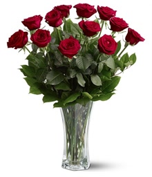 12 Red Roses