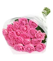 20 Pink Roses