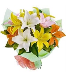 Mixed Lilies