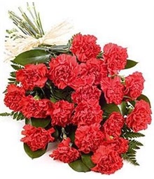 Red Carnation Bouquet