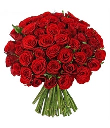 Fifty Red Roses