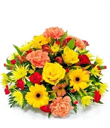 Bright Posy