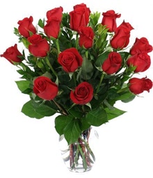 18 Red Roses