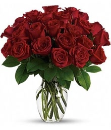 2 Dozen Red Roses