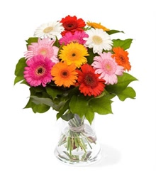 Gerbera Bouquet