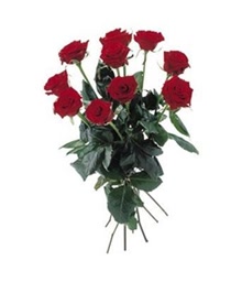 10 Red Roses